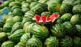 大连爆料吃瓜事件真相,揭秘背后真相与争议